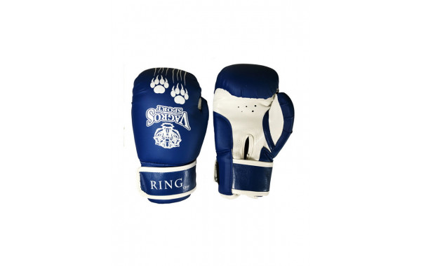 Боксерские перчатки Vagro Sport Ring RS810, 10oz, синий 600_380