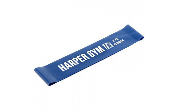 Эспандер для фитнеса Harper Gym замкнутый, нагрузка 5кг NT961Q 600_380