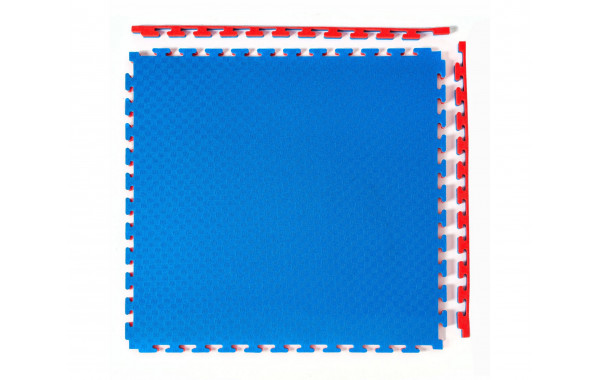 Будо-мат, 100x100 см, 25 мм DFC 9878 сине-красный 600_380