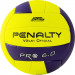 Мяч волейбольный Penalty Bola volei 6.0 pro 5416042420-U, р.5 75_75
