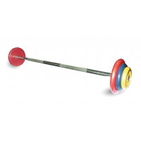 Штанга неразборная MB Barbell с цветными дисками, 25 мм, 45 кг MB-BarMW-C45