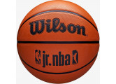 Мяч баскетбольный Wilson JR NBA DRV Fam Logo WZ3013001XB5 р.5