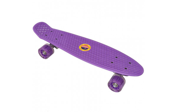 Скейтборд пластиковый 56x15cm, со свет. колесами Sportex E33093 фиолетовый (SK501) 600_380