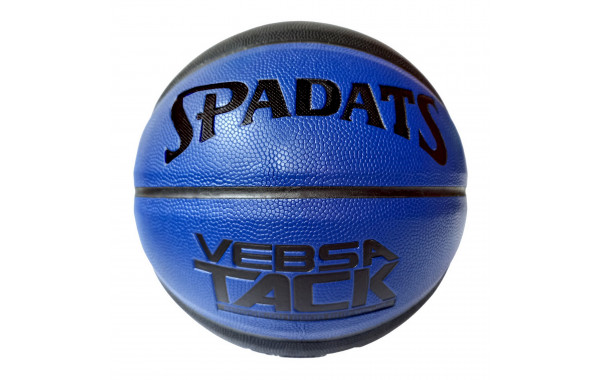 Мяч баскетбольный Sportex E41090 р.7 600_380