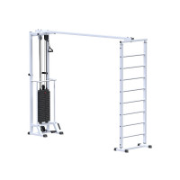 Биотонус (стек 100 кг) + шведская стенка ARMS AR087.1х2400