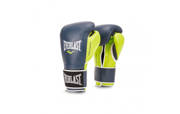 Перчатки тренировочные Everlast Powerlock 16 oz синий/зеленый P00000618 600_380