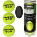 Мячи для большого тенниса Swidon 909 3 штуки (в тубе) E29380 75_75
