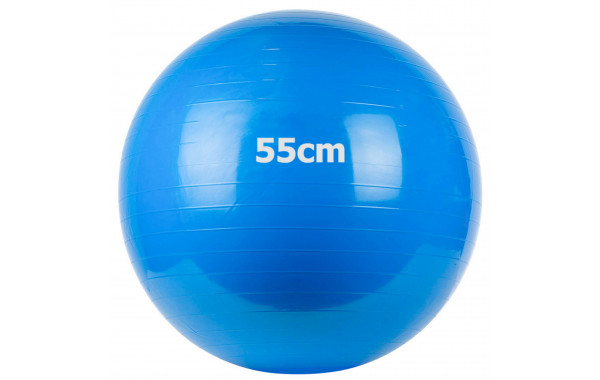 Мяч гимнастический Gum Ball d55 см Sportex GM-55-2 синий 600_380