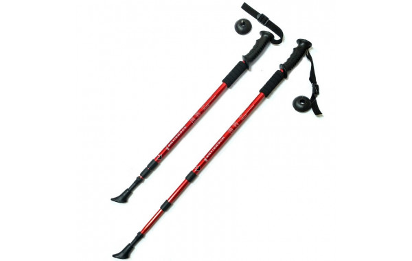 Палки для скандинавской ходьбы Sportex телескопическая, 3-х секционная F18432 красный 600_380