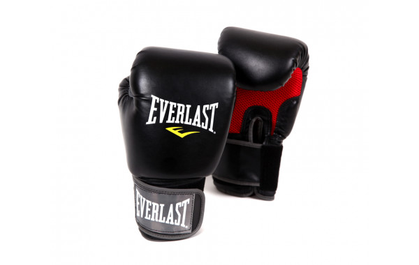 Перчатки Everlast Pro Style Muay Thai 12oz 7012 600_380