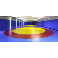Покрытие для борцовского ковра SportMat с карманами, матовое ПБКК-М