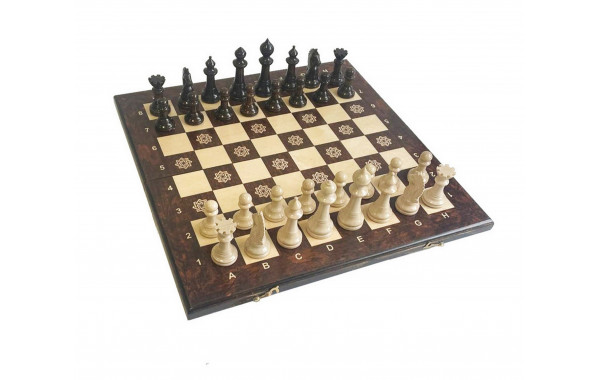 Шахматы "Бесконечность 2" 40 Armenakyan AA101-42 600_380