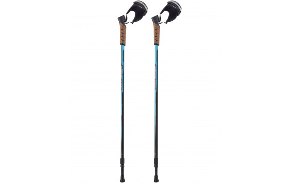 Скандинавские палки Berger Nimbus 2-секционные, 77-135 см, черный\голубой 600_380