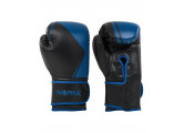 Перчатки боксерские Insane Montu ПУ, 12 oz, синий