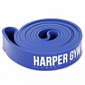 Эспандер для фитнеса Harper Gym замкнутый, нагрузка 12 - 25 кг NT961Z 120_120