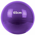 Мяч гимнастический Gum Ball d65 см Sportex GM-65-4 фиолетовый 120_120