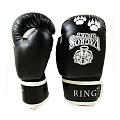 Боксерские перчатки Vagro Sport Ring RS512, 12oz, черный 120_120