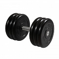 Гантель Профи, 31 кг MB Barbell MB-FdbM-B31 120_120