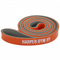 Эспандер для фитнеса замкнутый Harper Gym 10-30 кг NT18008 120_120