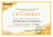 Сертификат на товар Качели Kampfer Гнездо среднее Зеленый